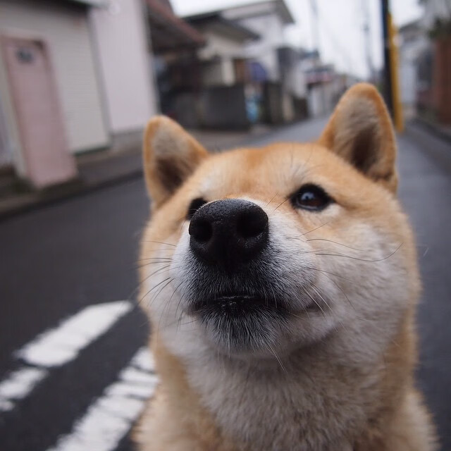 NBA新兴市场拓展策略,全球化步伐不断推进,nba 新球