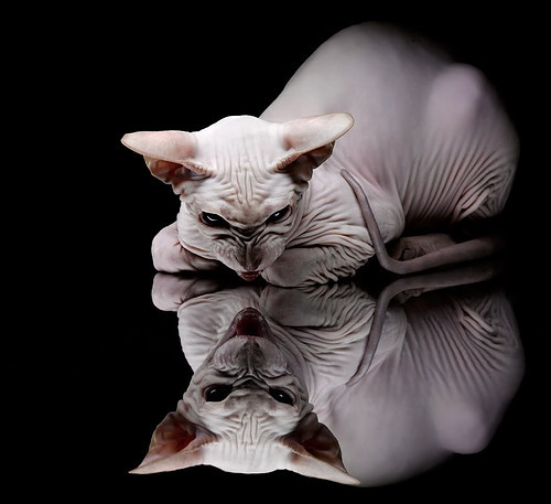 kaiyun官方入口登录-中国篮球裁判全国普及培训班圆满结束，裁判水平提升明显，中国篮球裁判国家级考试时间安排表