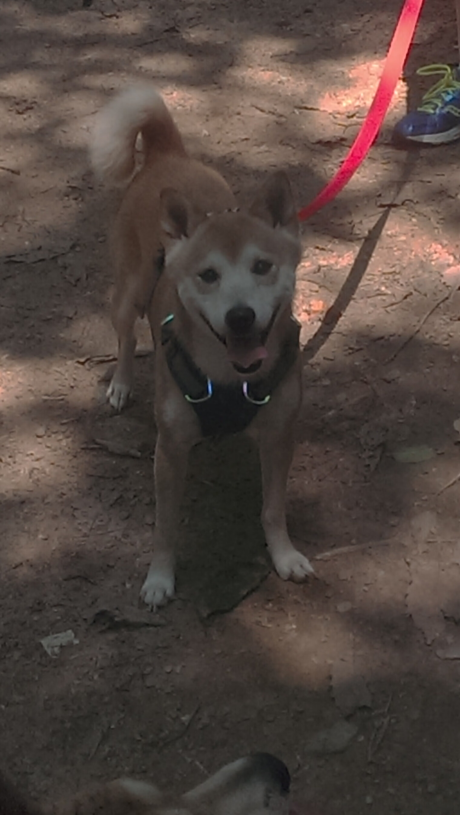 Kaiyun APP-中国篮球与传统文化结合，打造民族特色运动品牌，篮球的传统文化