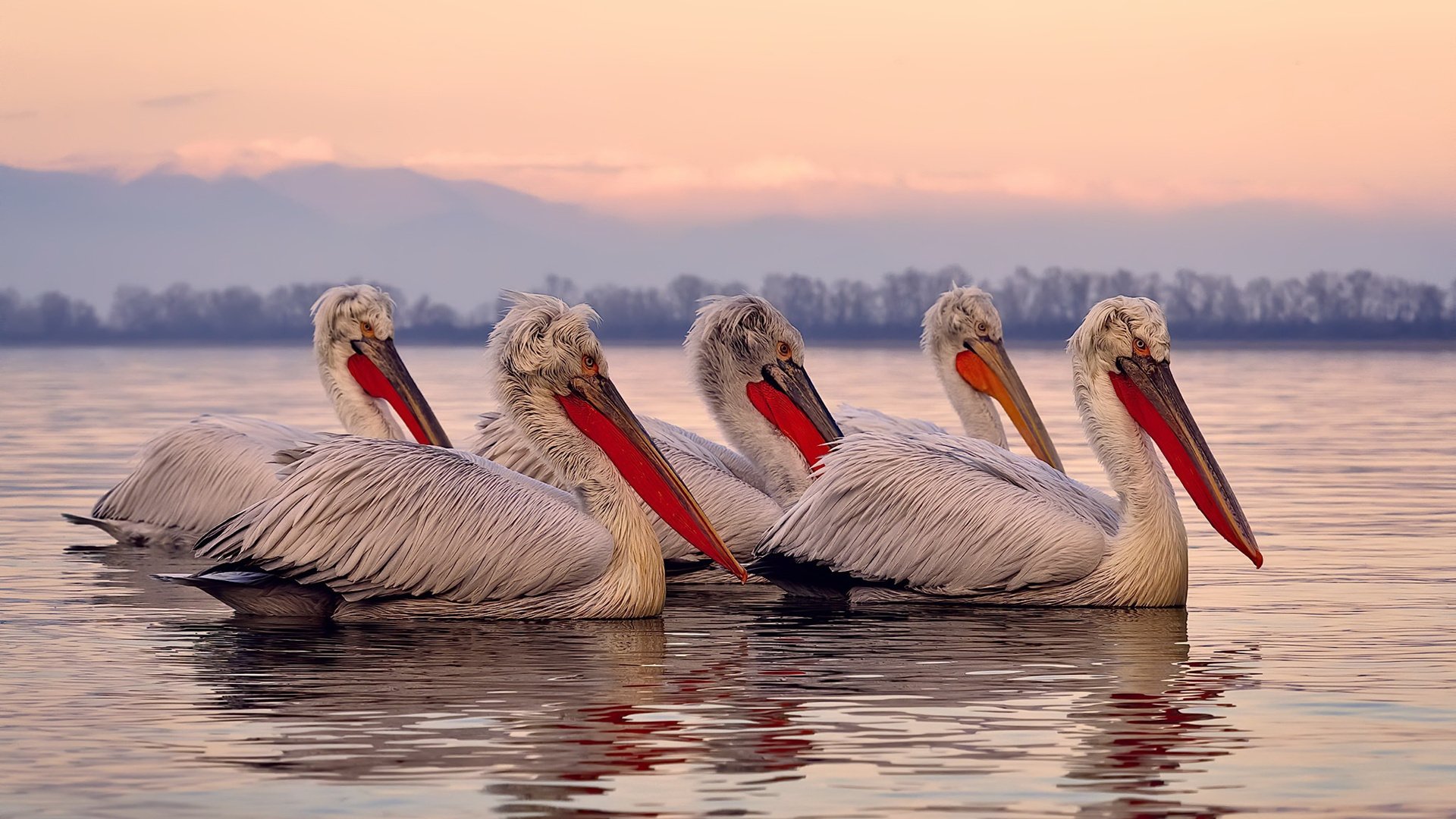 Kaiyun APP-中国足球行业“十四五”规划发布，推动高质量发展，中国足球发展总体方案