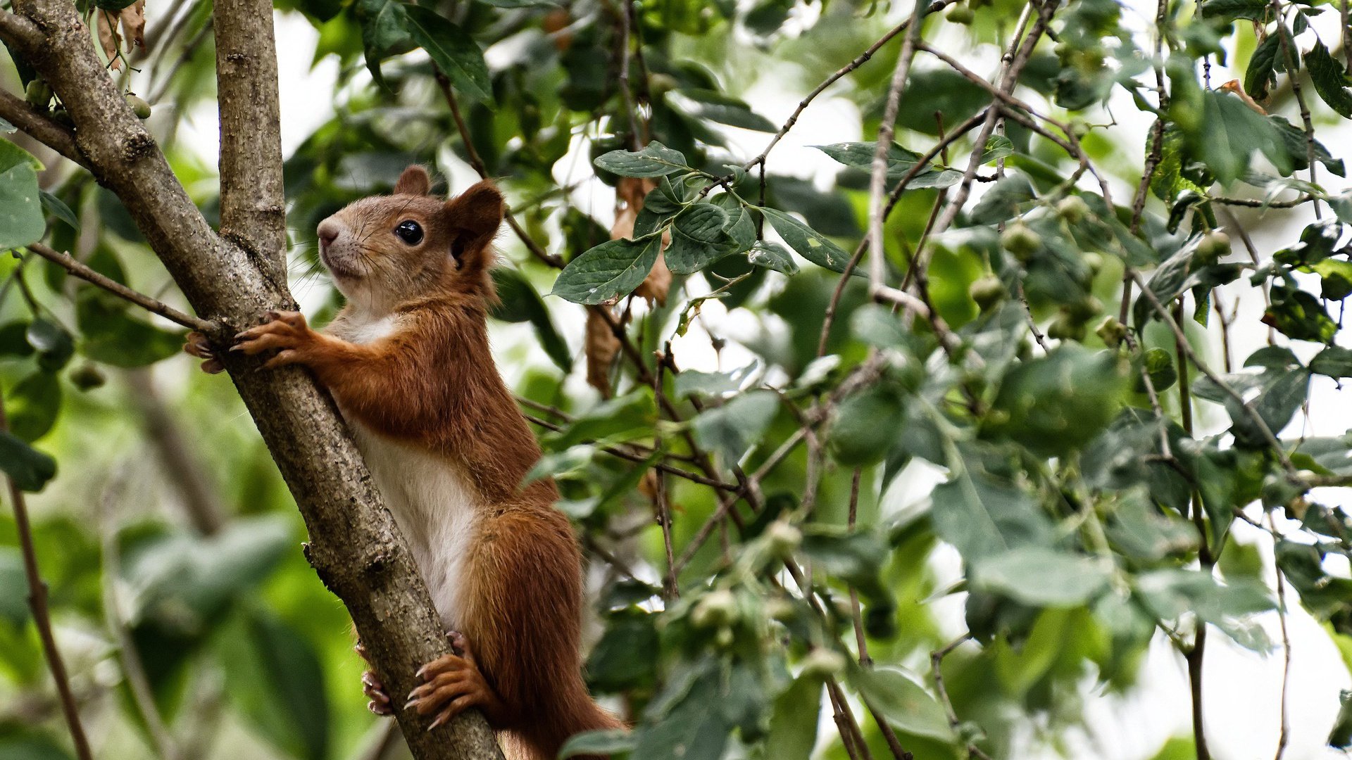 kaiyun开云·官方网站-全球粉丝大会：不一样的赛场文化，粉丝全球第一