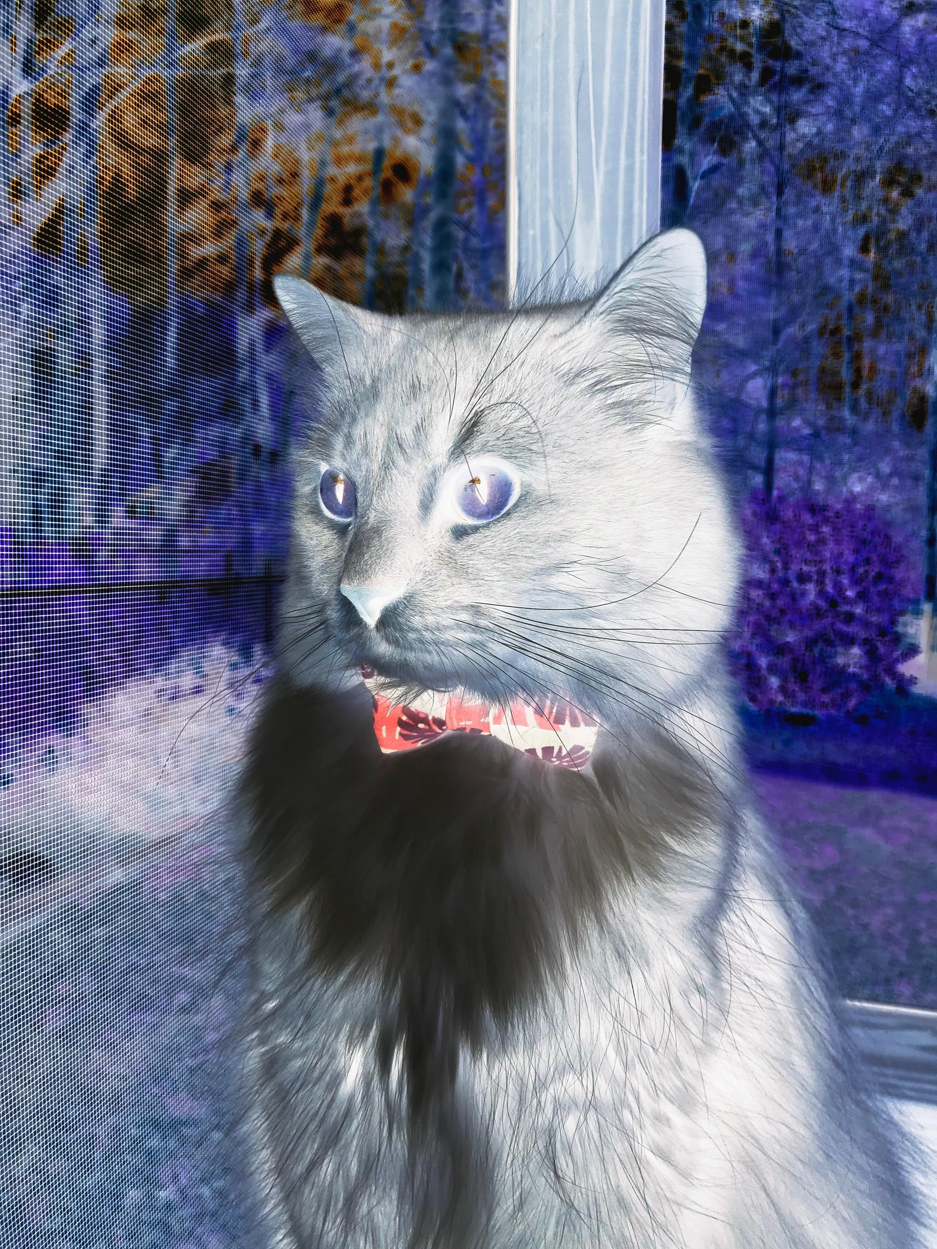 季后赛:库里带领勇士连战连捷,打造“水花时代”,2020年勇士库里