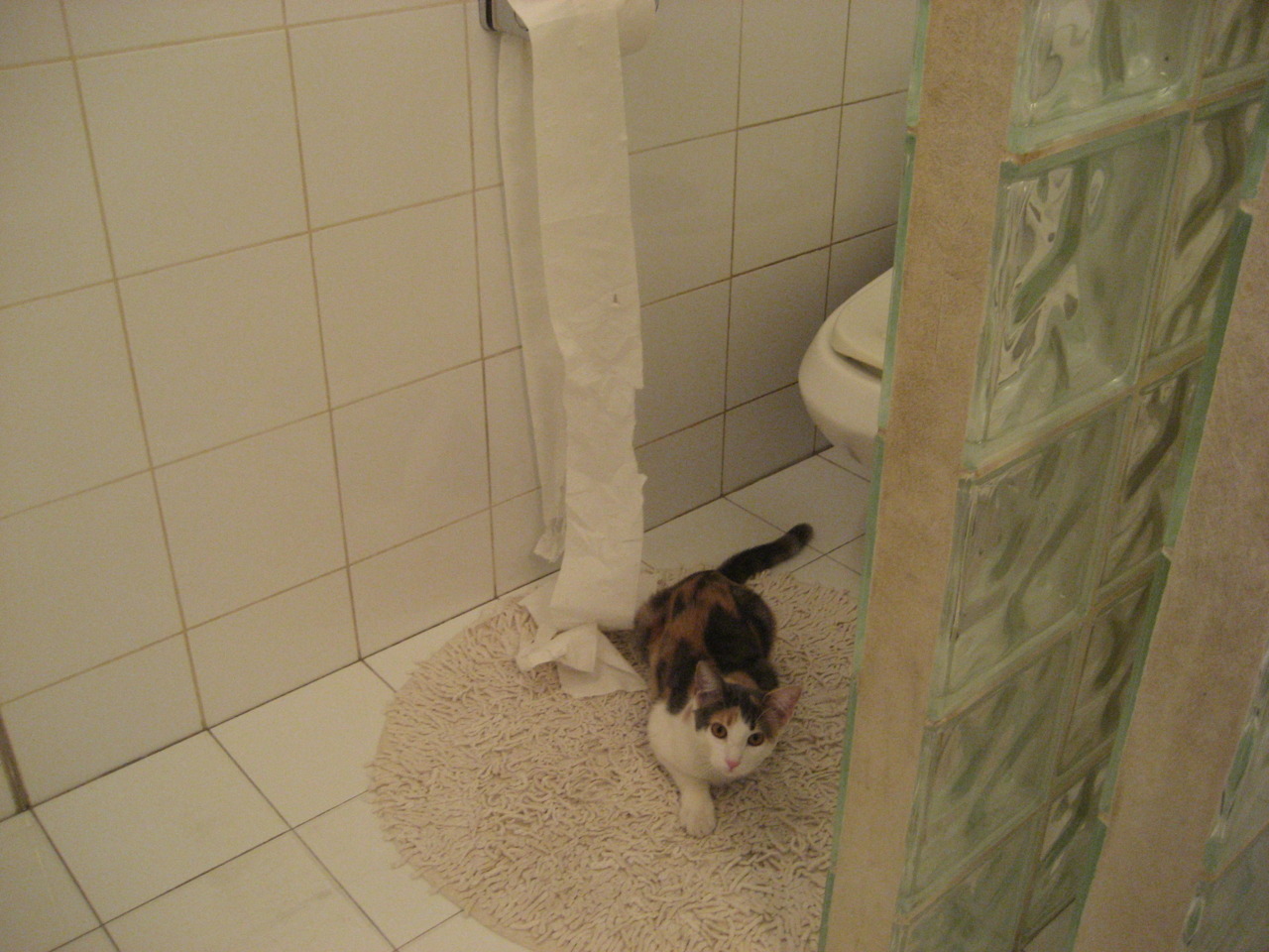 Kaiyun官方登录入口-由行业顶尖科研机构引领的青训技术创新成果不断转化，行业突飞猛进