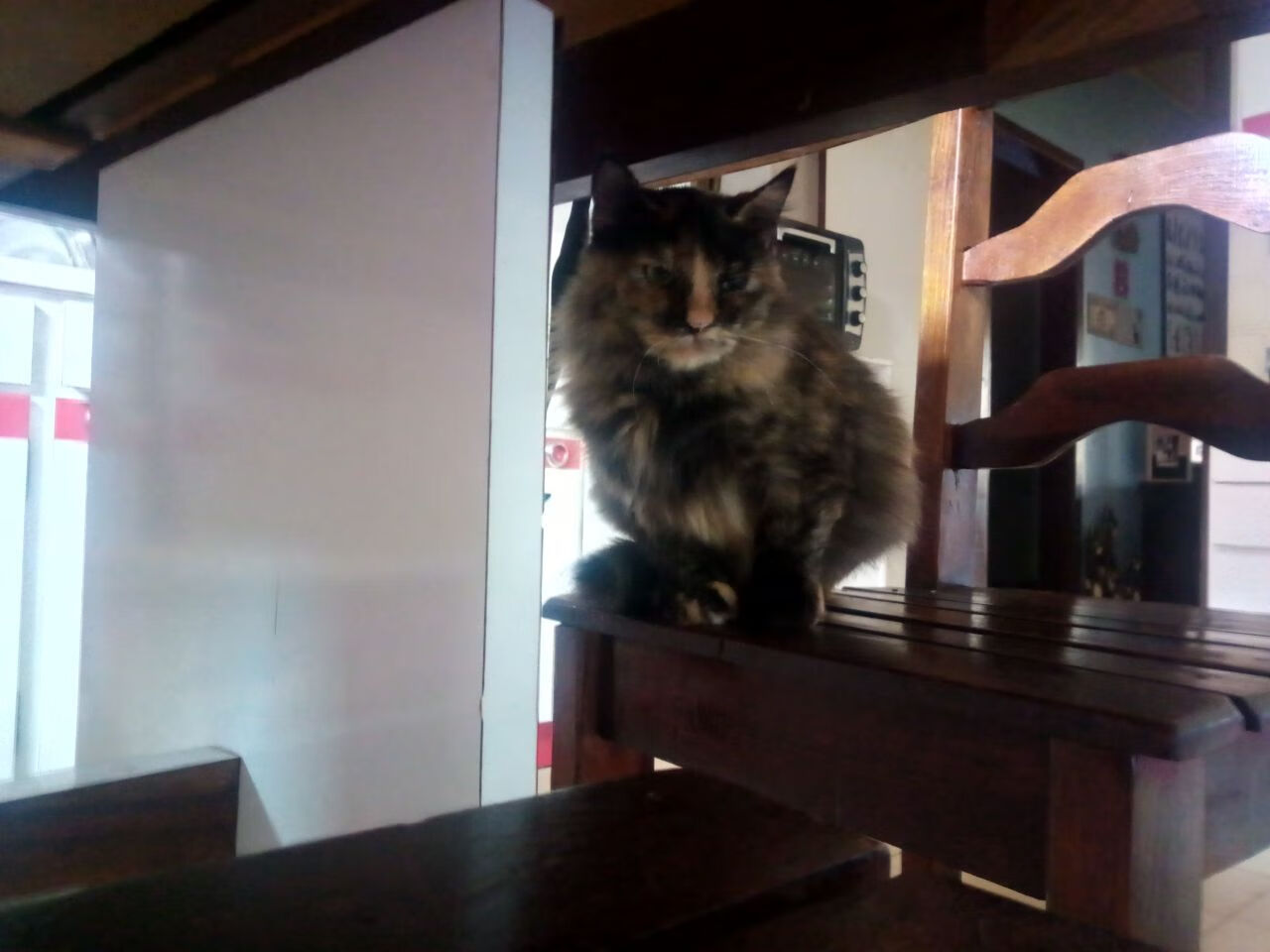 开云体育-绿色节能灯光系统在足球场普及，节能减排成新常态，绿色节能灯具