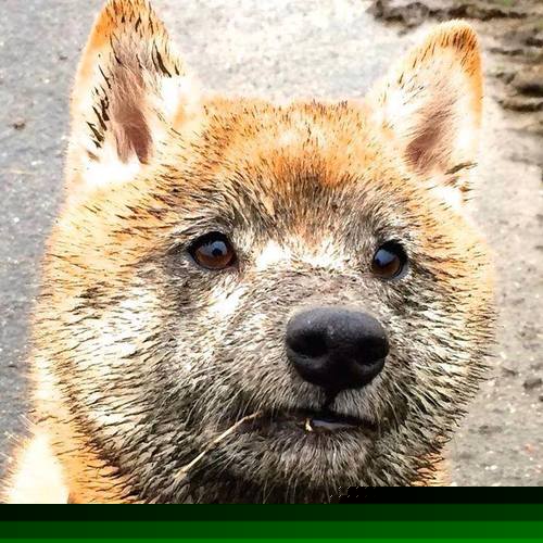 开云·体育官网-中超联赛公平竞争环境逐步形成，2020中超争冠规则