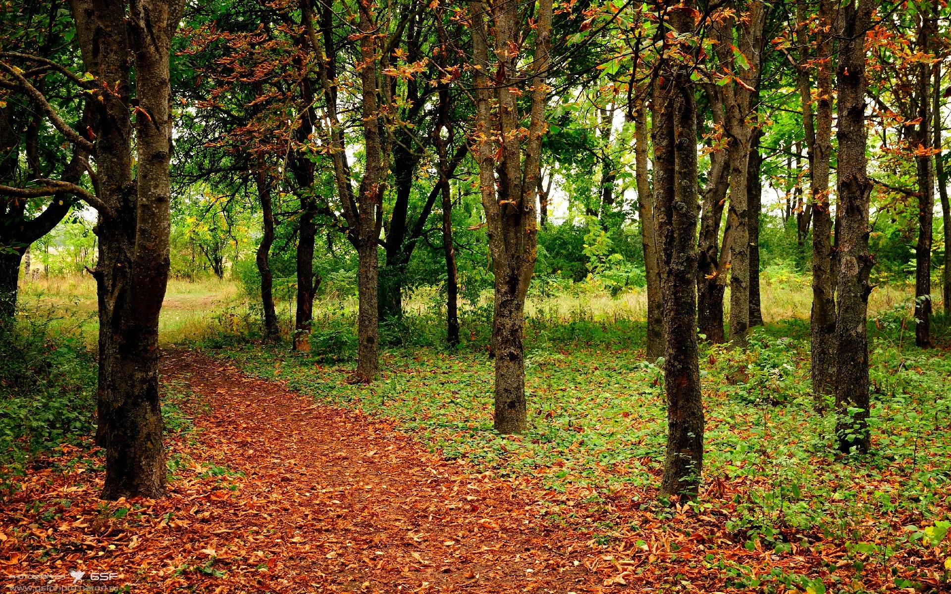 北京国安签下重要新援,北京国安引进的新外援的最新消息