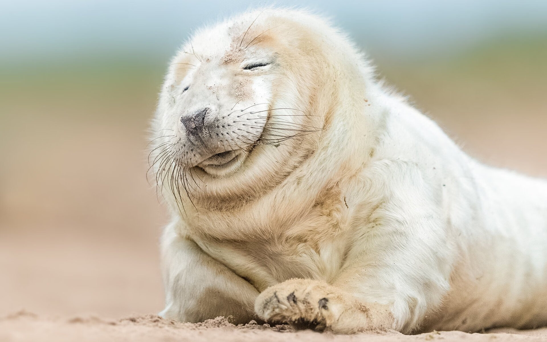 Kaiyun官方登录入口-川崎前锋球员获月度最佳，川崎前锋实力