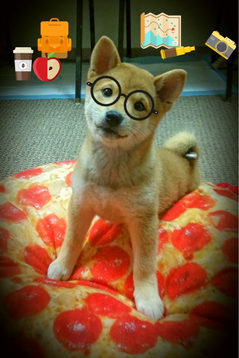 开云网站-英雄联盟国际赛事加强选手健康监测体系，英雄联盟最新健康系统