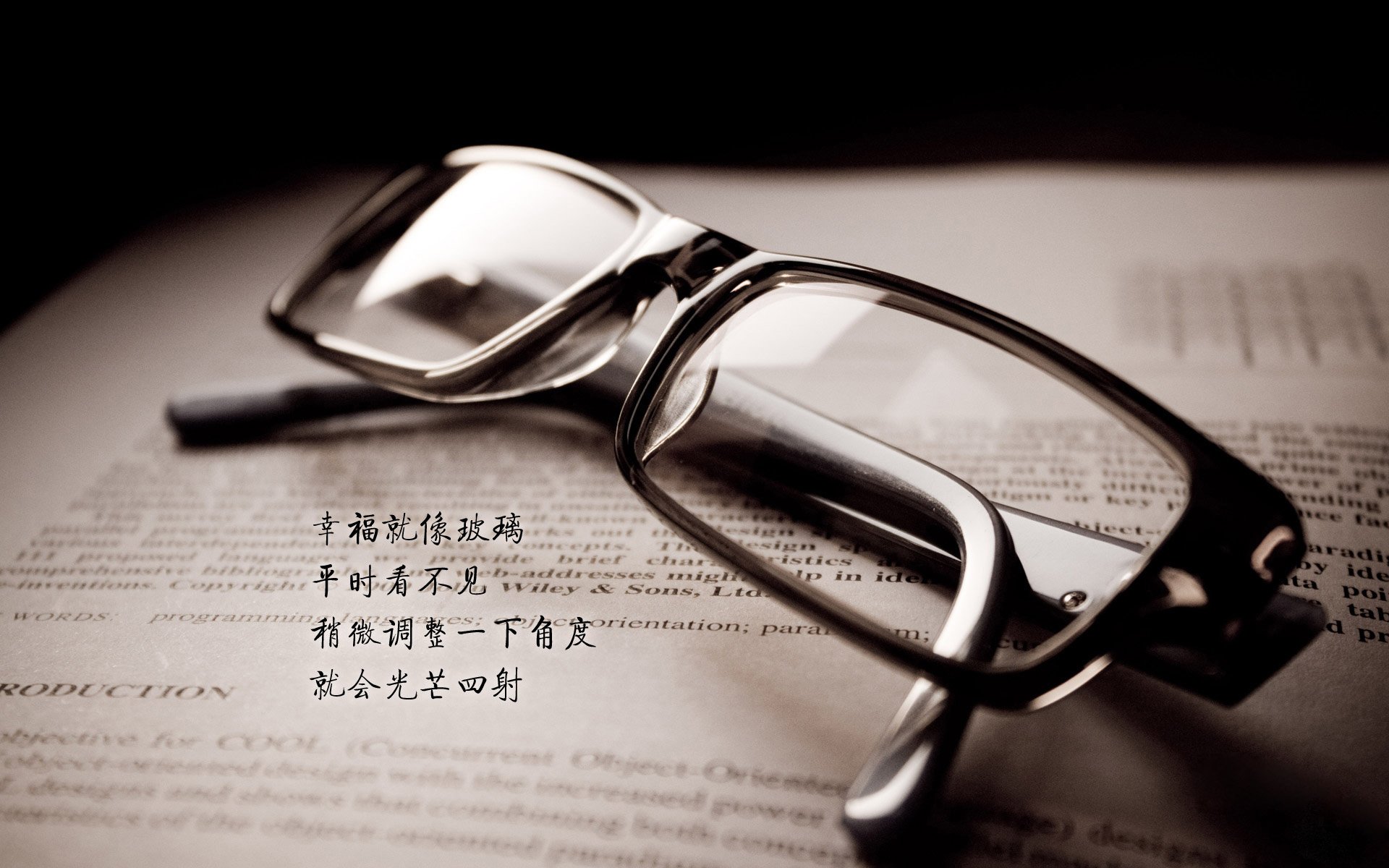 比利时马术队在2024年巴黎奥运会上表现出色，获得团体障碍赛第五名，创造历史最佳成绩。