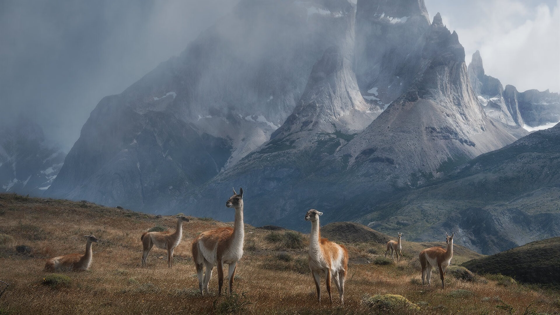 中国篮球职业联赛赛事安全管理体系,全国篮球职业联赛共12支篮球队参赛,实行主客场