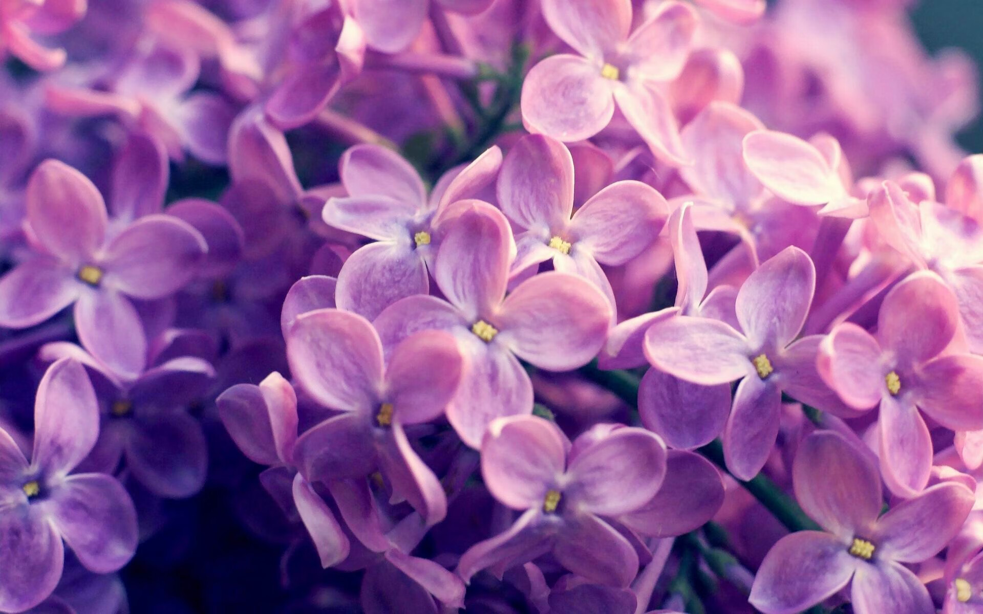 开云体育APP下载-亚冠联赛国家队战败 球迷理性看待失败，亚冠联赛足球