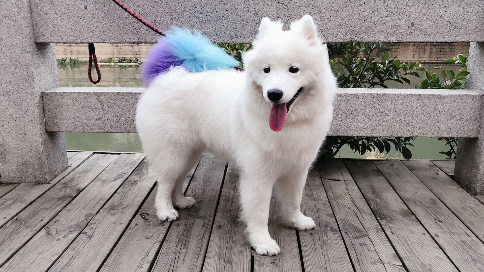 kaiyun官方入口登录-美国队的未来：如何借助战术分析系统提升球队整体实力，美国的队伍