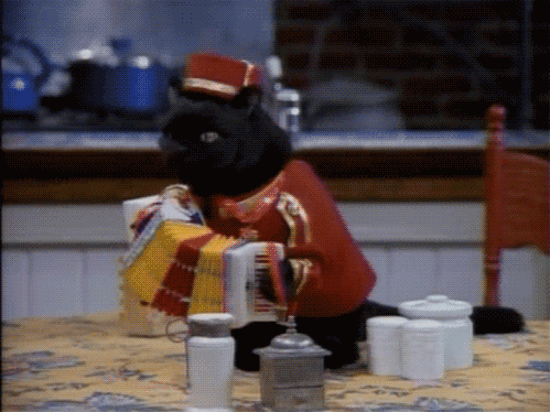 KAIYUNAPP-奥康纳成为袋鼠队的中场支柱，稳定发挥帮助全队，奥世康袋鼠精