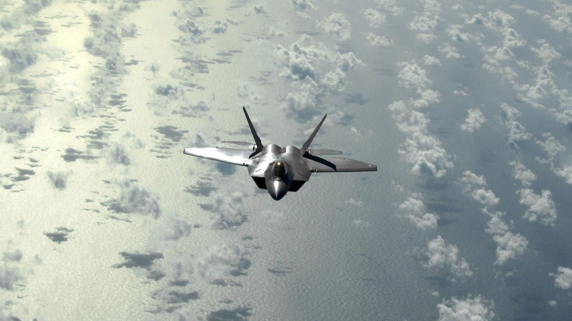 阿根廷美洲雄鹰队:南半球崛起的新兴力量,阿根廷雄鹰图片